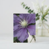 Paars Clematis Briefkaart (Staand voorkant)