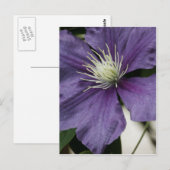 Paars Clematis Briefkaart (Voorkant / Achterkant)