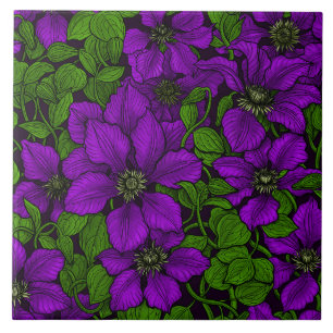 Paars Clematis Tegeltje