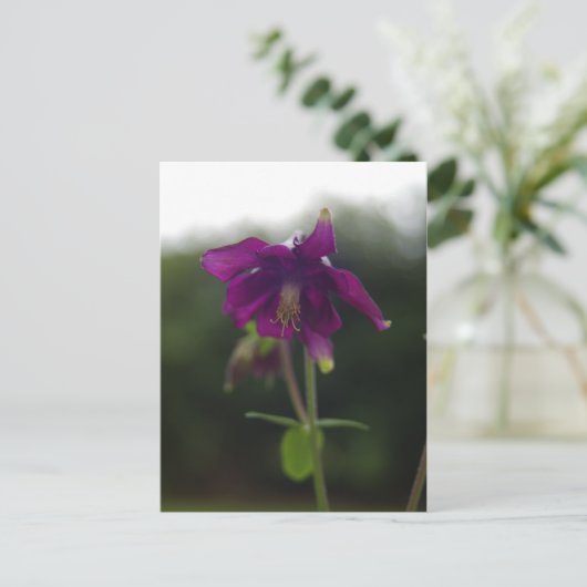 Paars Columbine Briefkaart (Staand voorkant)