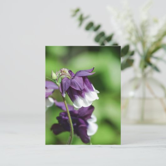 Paars Columbine Briefkaart (Staand voorkant)