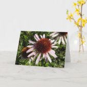 Paars Coneflower Notecard Kaart (Gele Bloem)