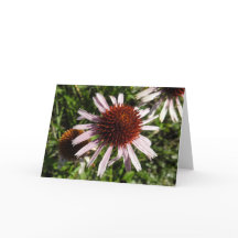 Paars Coneflower Notecard