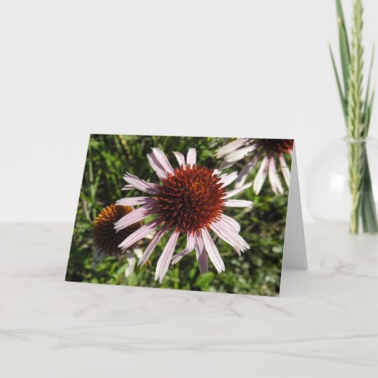 Paars Coneflower Notecard Kaart (Voorkant)
