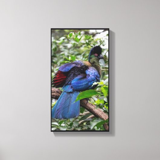 Paars-Crested Turaco Canvas Afdruk (Voorkant)