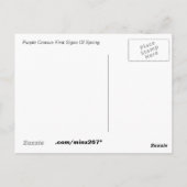 Paars Crocus Briefkaart (Achterkant)