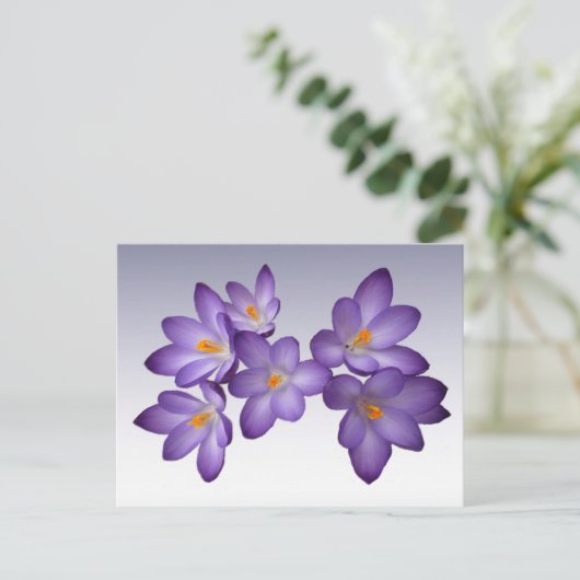 Paars Crocus Briefkaart (Staand voorkant)