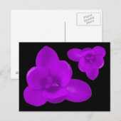 Paars Crocus Flower Briefkaart (Voorkant / Achterkant)