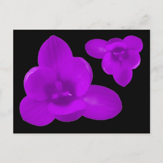 Paars Crocus Flower Briefkaart (Voorkant)