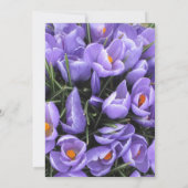 Paars Crocus Sweet 16 Birthday Uitnodiging (Achterkant)