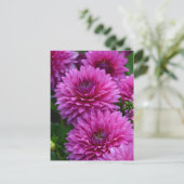 Paars dahlia bloementuin briefkaart (Staand voorkant)