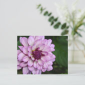 Paars dahlia briefkaart bloesems (Staand voorkant)