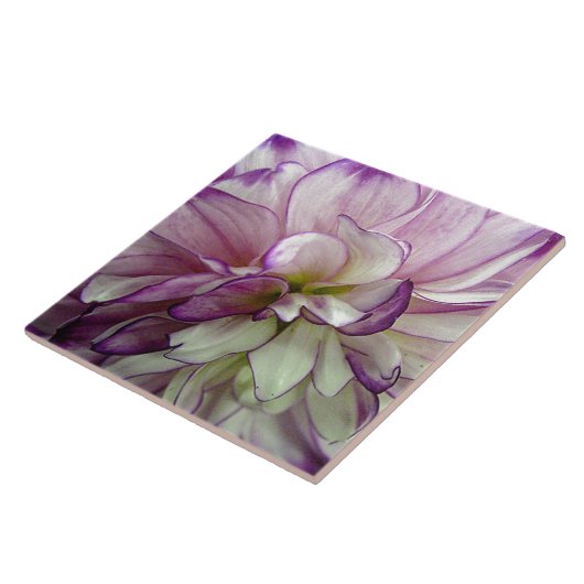 Paars Dahlia Ceramic Tegel Tegeltje (Zijkant)