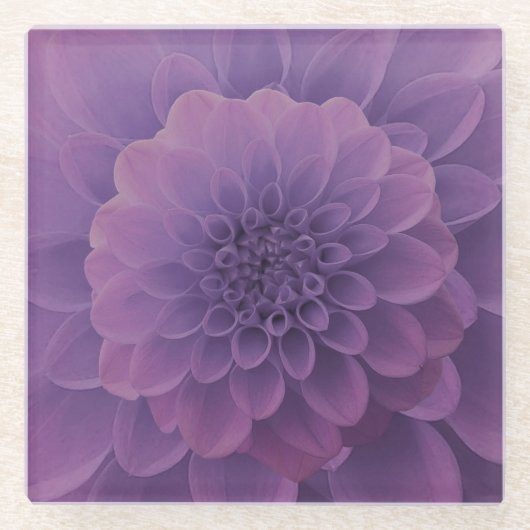 Paars Dahlia Glazen Onderzetter (Voorkant)