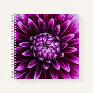 Paars Dahlia Heart Notitieboek