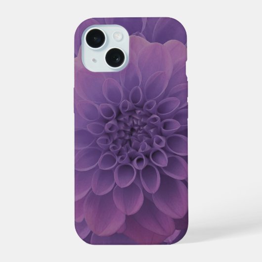 Paars Dahlia iPhone 15 Case (Achterkant)