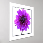 Paars Dahlia met Folie Welkom & Edge Print Poster (Laagn)