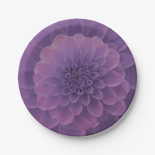 Paars Dahlia Papieren Bordje (Voorkant)
