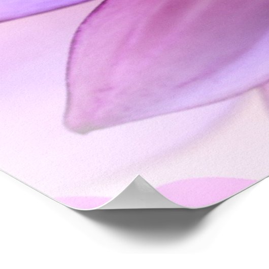 Paars Dahlia Poster (Hoek)