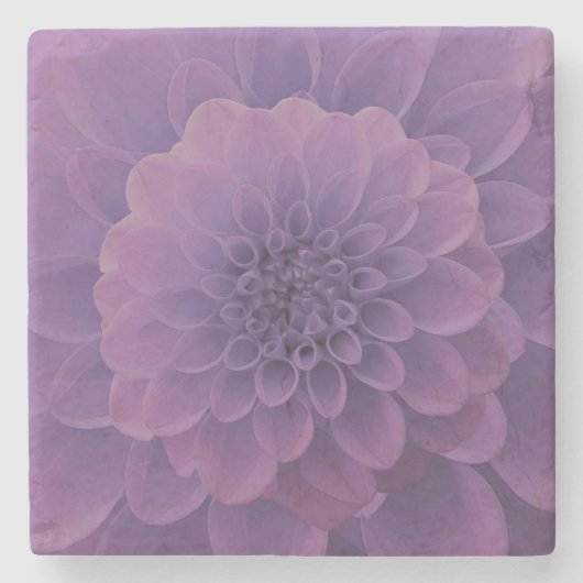 Paars Dahlia Stenen Onderzetter (Voorkant)