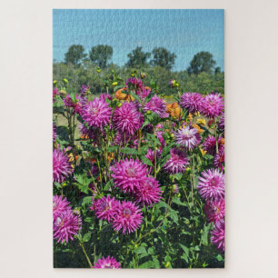 Paars dahlia tuin legpuzzel