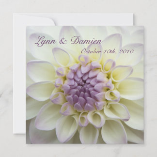 Paars Dahlia ・ Uitnodiging tot weddenschappen