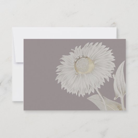 Paars Daisy Antiek Weddenschap kiezen RSVP Kaartje (Achterkant)