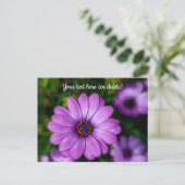 Paars Daisy flower Briefkaart (Staand voorkant)