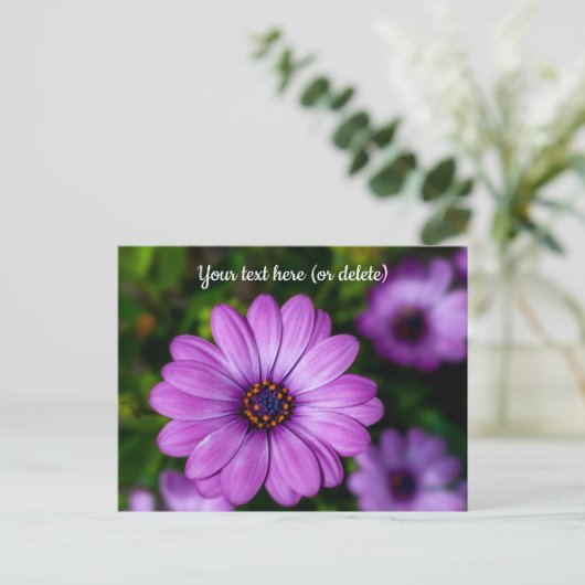 Paars Daisy flower Briefkaart (Staand voorkant)
