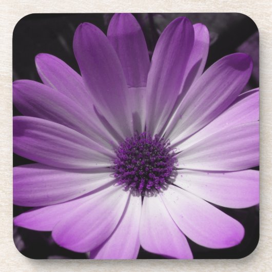 Paars Daisy Flower Cork Onderzetter (Voorkant)