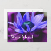 Paars Daisy Flower New Address Aankondigingskaart (Voorkant / Achterkant)