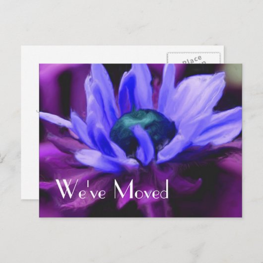 Paars Daisy Flower New Address Aankondigingskaart (Voorkant / Achterkant)