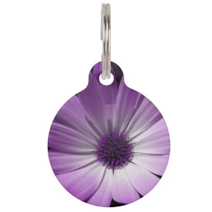 Paars-Daisy-ventilatorhond-Label Huisdierpenning