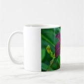 Paars Day Lily Mok (Links)