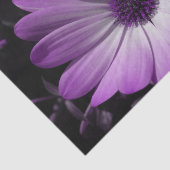 Paars deisy Flower-weefselpapier Tissuepapier (Detail)