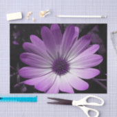 Paars deisy Flower-weefselpapier Tissuepapier (Craft)