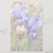 Paars Dwarf Iris Floral gelinkt papier (Voorkant)