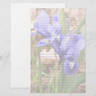 Paars Dwarf Iris Floral gelinkt papier