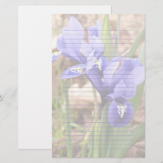 Paars Dwarf Iris Floral gelinkt papier (Voorkant / Achterkant)