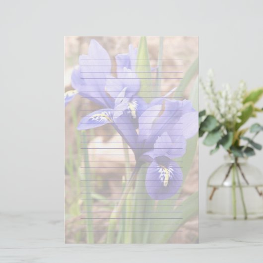 Paars Dwarf Iris Floral gelinkt papier (Staand voorkant)