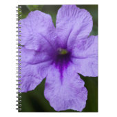 Paars Dwarf Mexican Petunia Notitieboek (Voorkant)