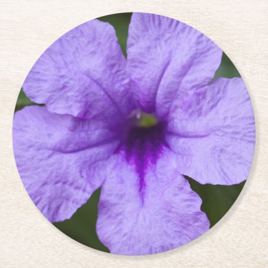 Paars Dwarf Mexican Petunia Ronde Kartonnen Onderzetter (Voorkant)