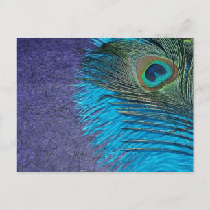 Paars en Blauwgroen Peacock Briefkaart