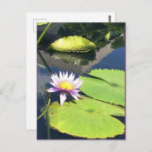 Paars en geel Briefkaart (Voorkant / Achterkant)