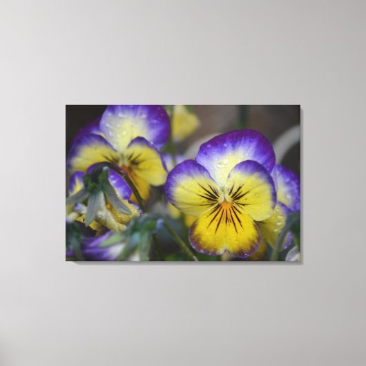 Paars en geel kwartdedoek canvas afdruk (Voorkant)