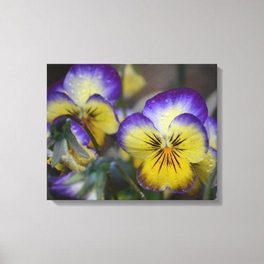 Paars en geel schilderdoek canvas afdruk (Voorkant)