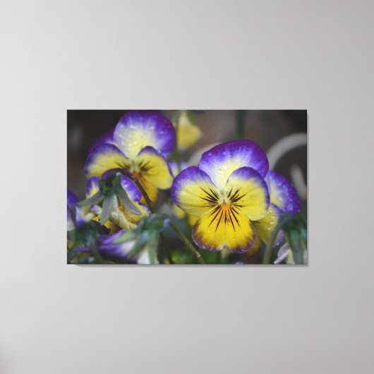 Paars en geel schilderdoek canvas afdruk (Voorkant)
