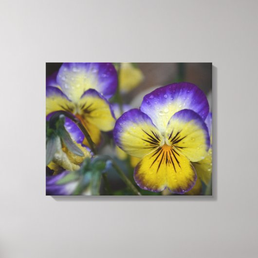 Paars en geel schilderdoek canvas afdruk (Voorkant)