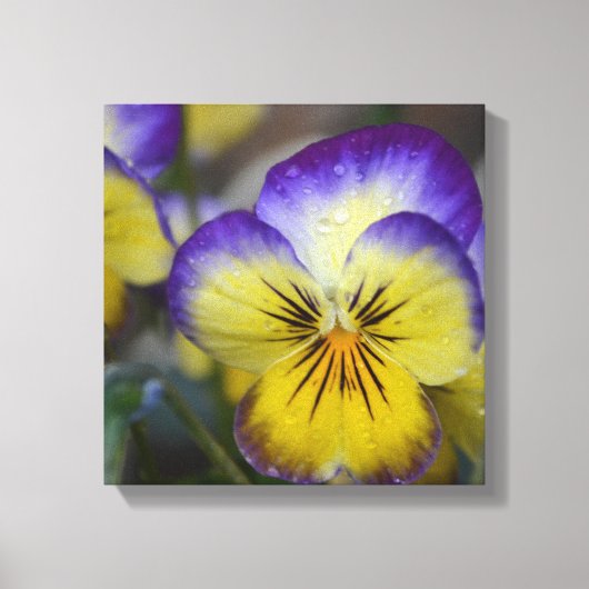 Paars en geel schilderdoek canvas afdruk (Voorkant)