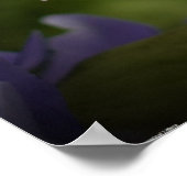 Paars en groen, poster (Hoek)